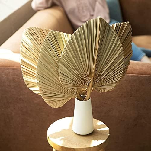 Palm Spears 4PCS Dried Natural Plant Decor