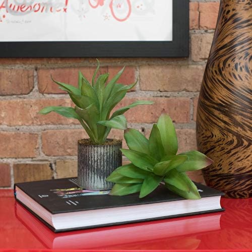 Vickerman Everyday 8 Inch Indoor Artificial Green Agave Stem 3 Pack