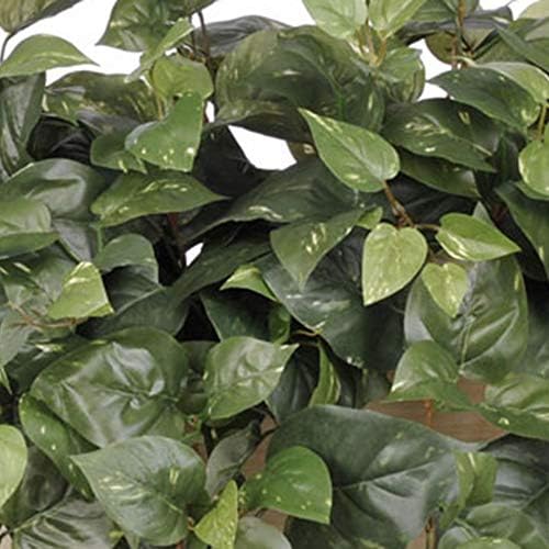 Artificial Pothos in White-Wash Wood Ledge