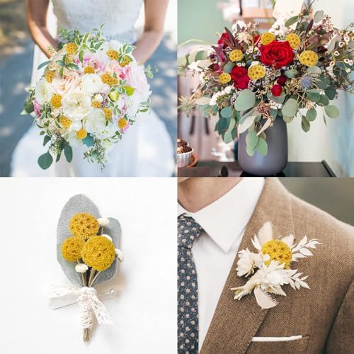 24 PCS Dried Craspedia Billy Balls Flowers Yellow