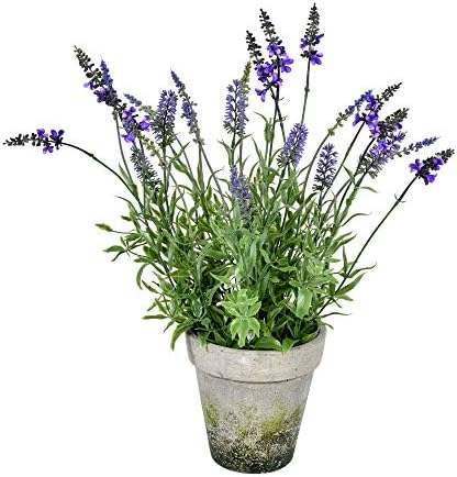 Vickerman 20 Inch Artificial Lavender Cement Pot Decor