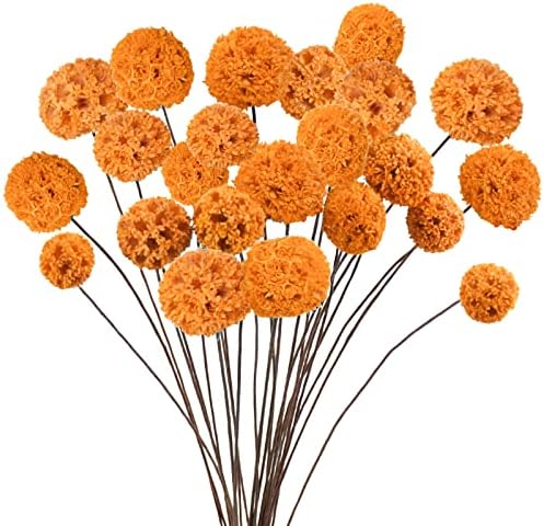 24 PCS Dried Billy Balls Flowers Orange Bouquet
