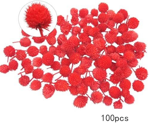 JOJAZE 100 Pcs Dried Flower Heads for Crafts Red Globe Dried Flowers