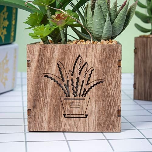 BEGONDIS 3 Piece Artificial Succulent Set with LED Lights