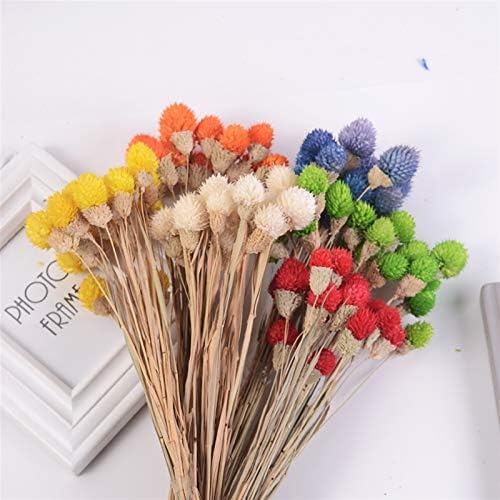 Natural Dried Flowers 15Pcs Strawberry Fruit Grass Wedding Bouquet Decoration