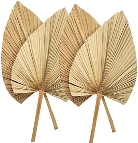 Palm Spears 4PCS Dried Natural Plant Decor