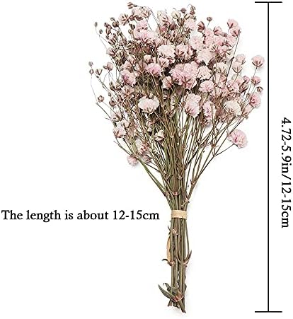 JONJUMP Dried Flowers Mini Bouquets Artificial Flower Decoration