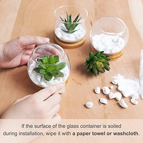 Mkono Artificial Succulent in Clear Glass Pot