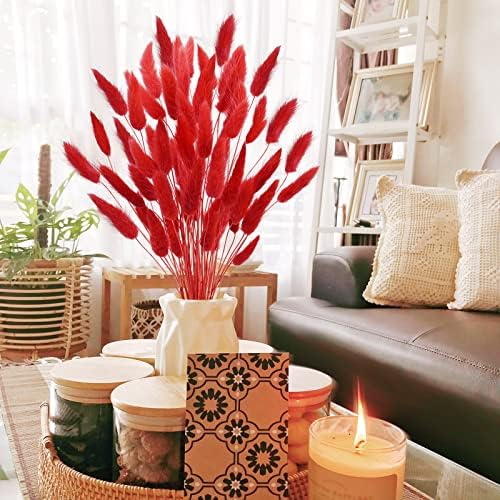 Uieke 17 Inch Natural Red Bunny Tails Dried Flowers 240 Pcs