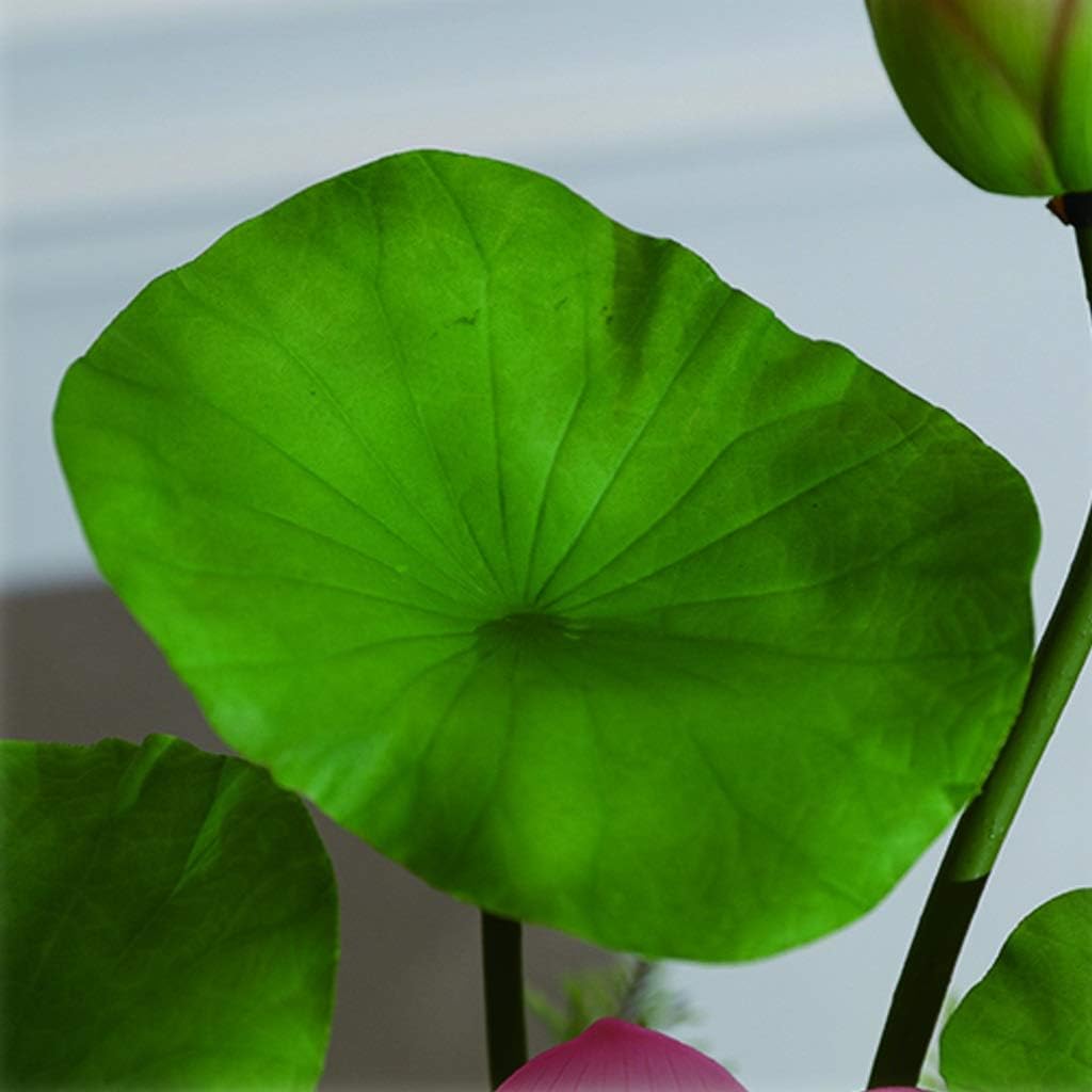 Artificial Lotus Bonsai Flower for Home and Office Decor