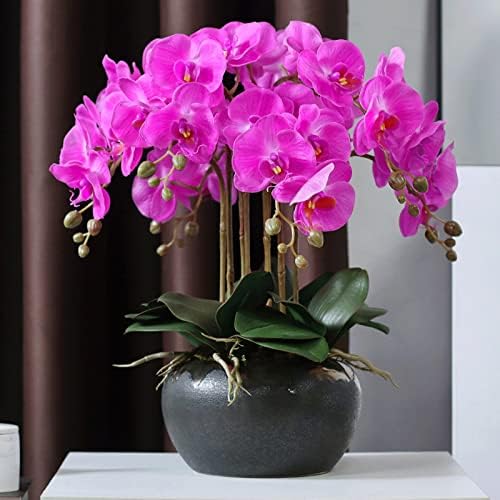 Realistic Artificial Orchid in Ceramic Pot with Gold Trim