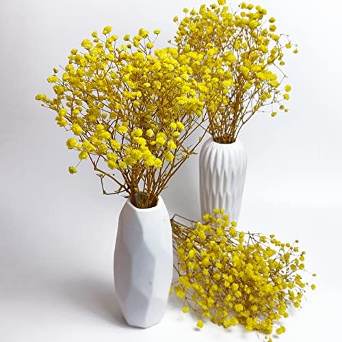 Preserved Babys Breath Flowers 3 Bunches Yellow for Decor
