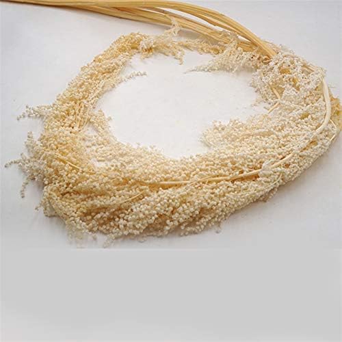 WQAZ Natural Dried Flowers for Wedding Home Decor