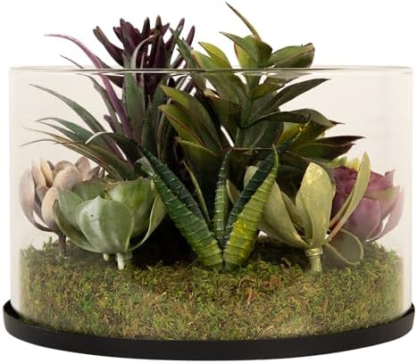 Northlight Artificial Mixed Succulent in 8 Round Glass Jar Green