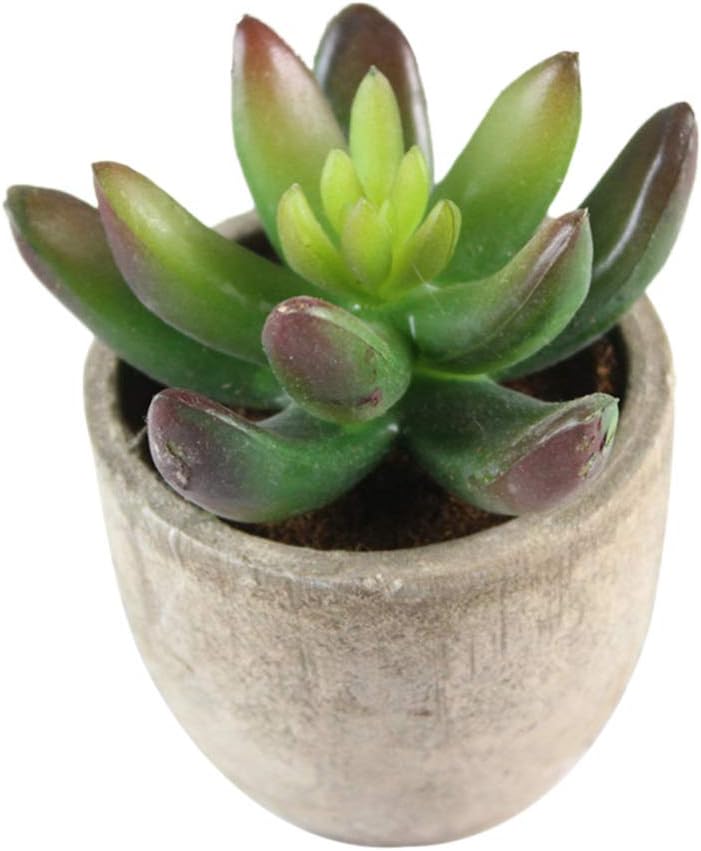 5pcs Artificial Succulent Plants Decorative Faux Plants