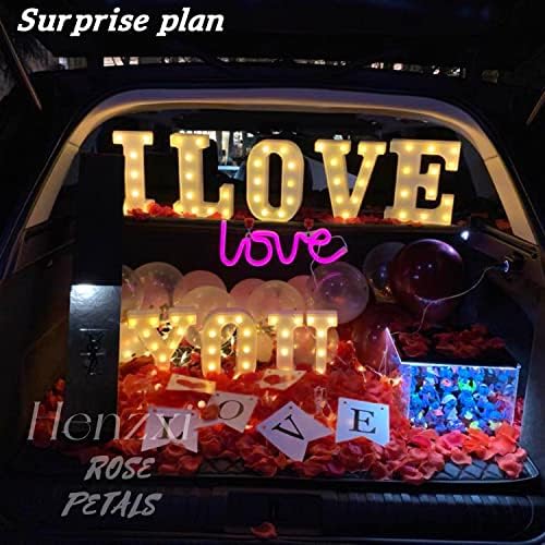 Henzxi 1000 Pcs Artificial Rose Petals Ivory