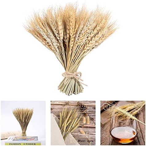 100 Pieces Dried Wheat for Flower Arrangements and Decor