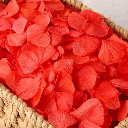 2500PCS Natural Red Hydrangea Petals for Wedding Aisle and Proposals