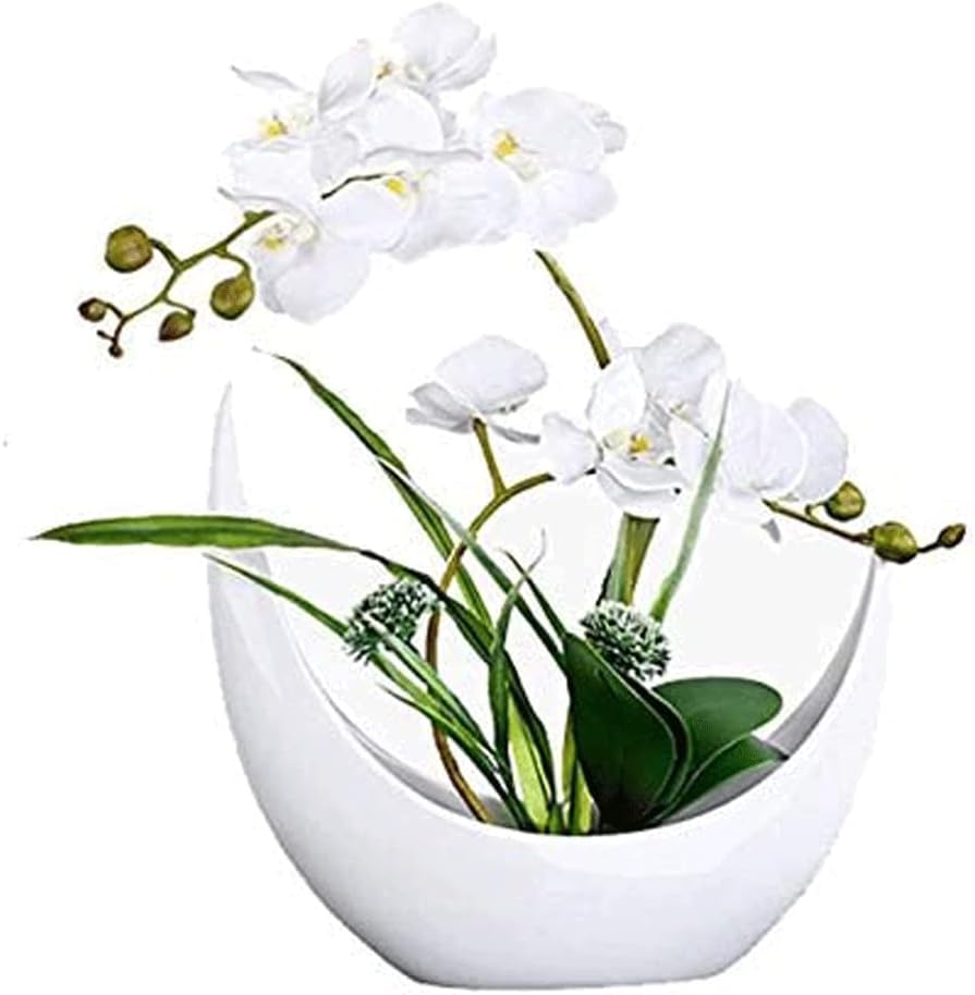 Artificial Phalaenopsis Faux Orchids Realistic Decor