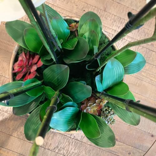 Htmeing 38 Inch Artificial Orchid Branches Real Touch Pack of 2