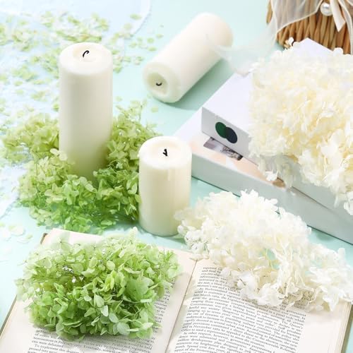 Real Dried Hydrangea Petals White and Green 21 Oz Pack