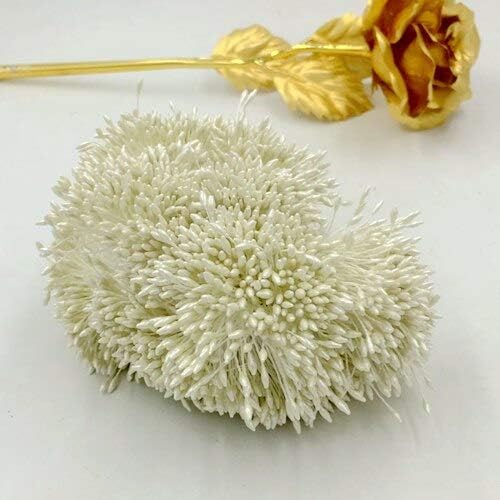 Artificial Dried Flower Stamen 900pcs Lot Ivory