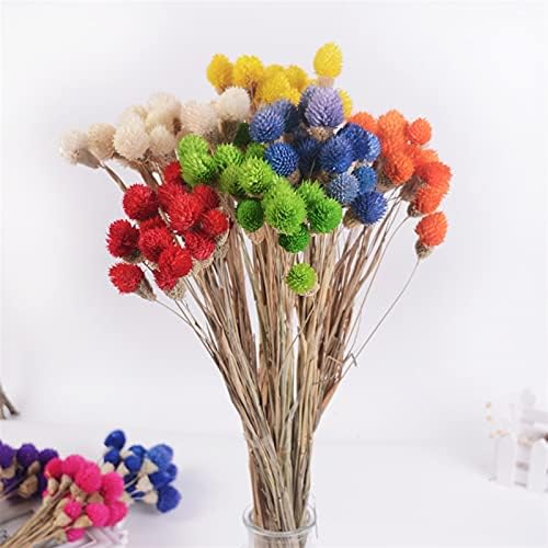 Natural Dried Flowers 15Pcs Strawberry Fruit Grass Wedding Bouquet Decoration