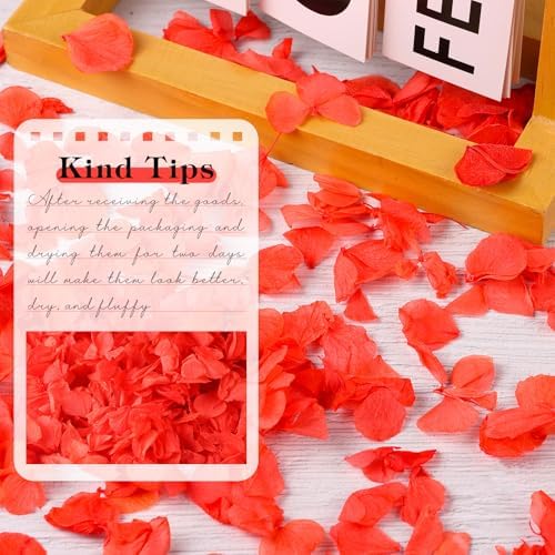 2500PCS Natural Red Hydrangea Petals for Wedding Aisle and Proposals