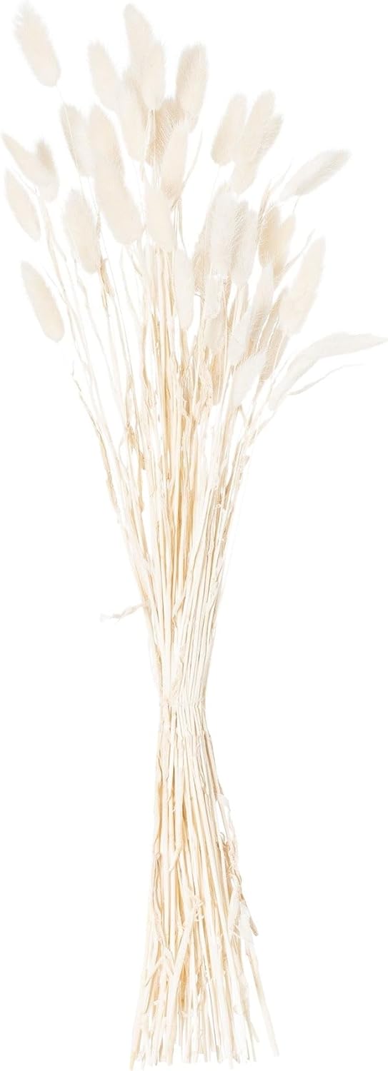 Bunny Tail Artificial Flower Set of 60 White