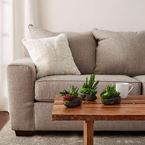 Pure Garden Artificial Succulent Plants 3-Piece Set