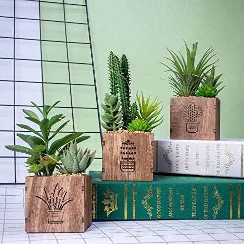 BEGONDIS 3 Piece Artificial Succulent Set with LED Lights
