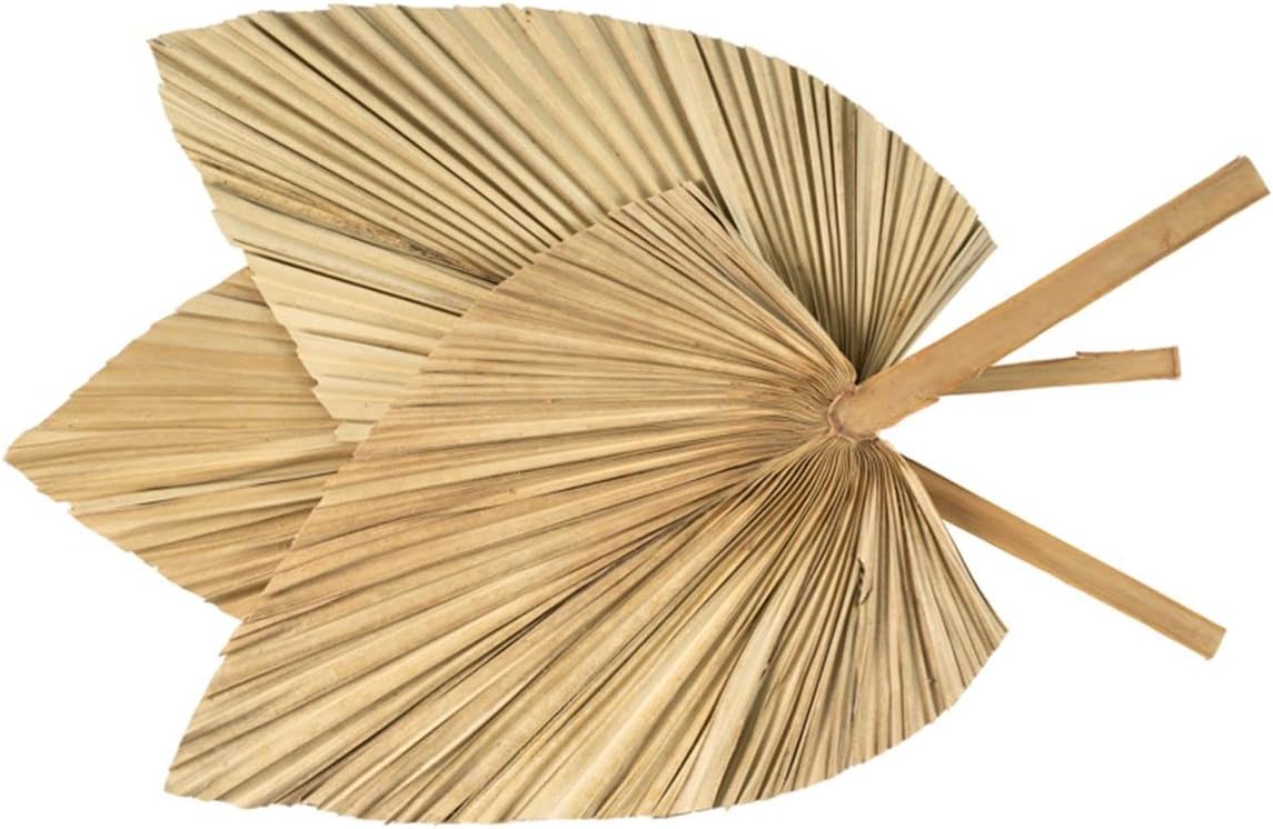 Palm Spears 4PCS Dried Natural Plant Decor