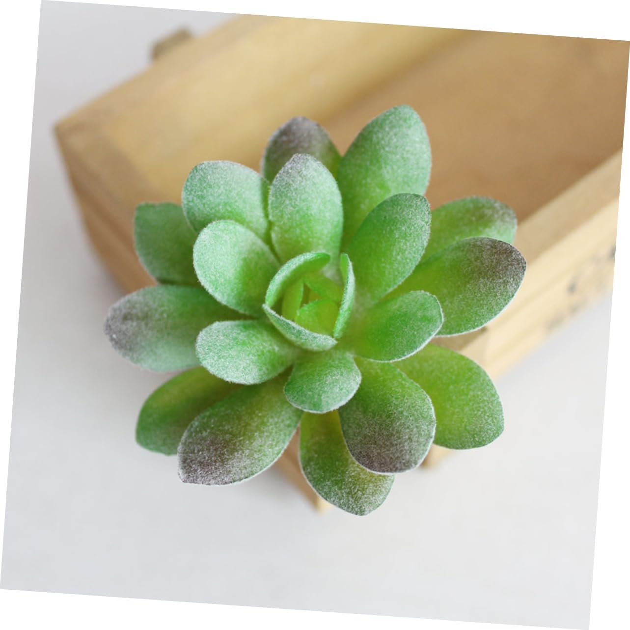 5pcs Desk Fake Succulent Office Decor