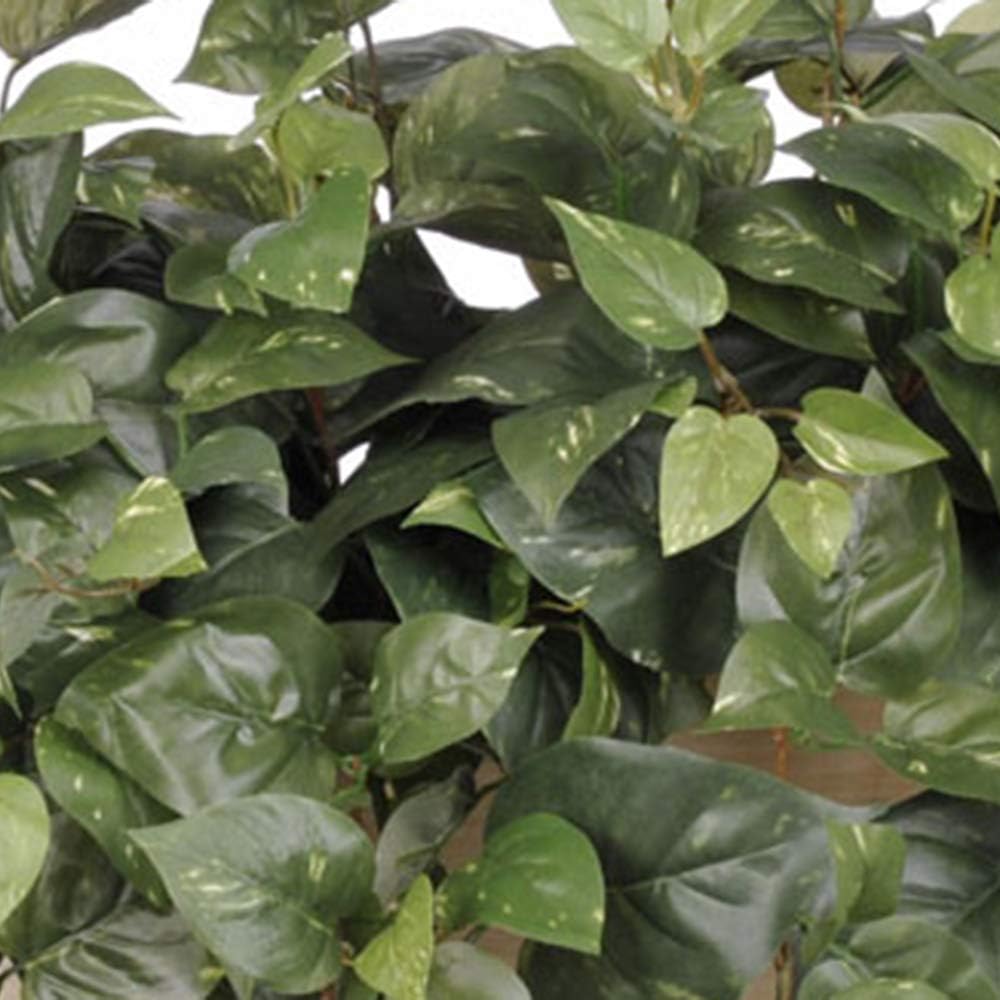 Artificial Pothos in White-Wash Wood Ledge
