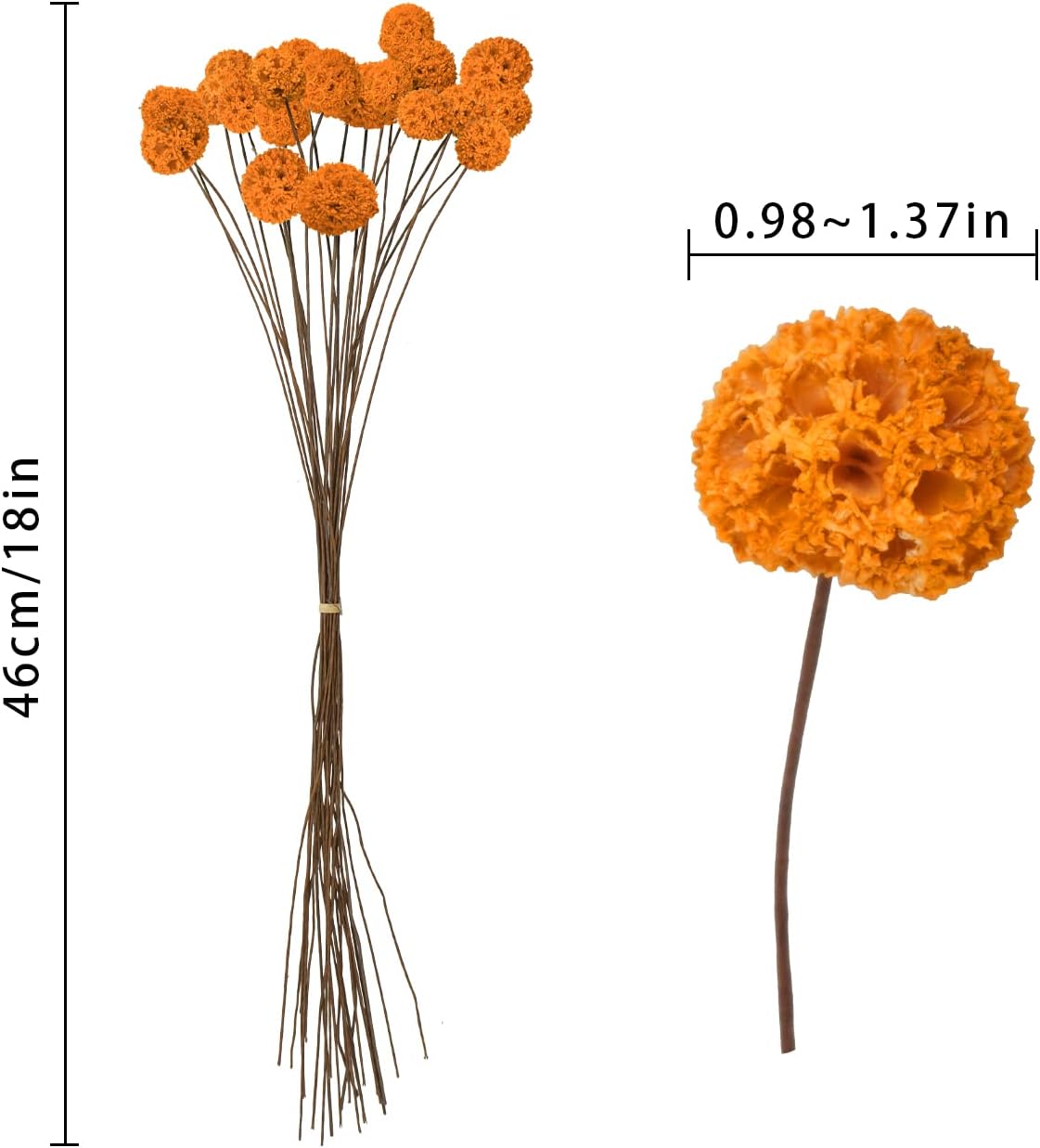 24 PCS Dried Billy Balls Flowers Orange Bouquet