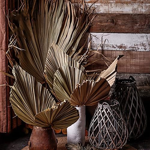 Palm Spears 4PCS Dried Natural Plant Decor