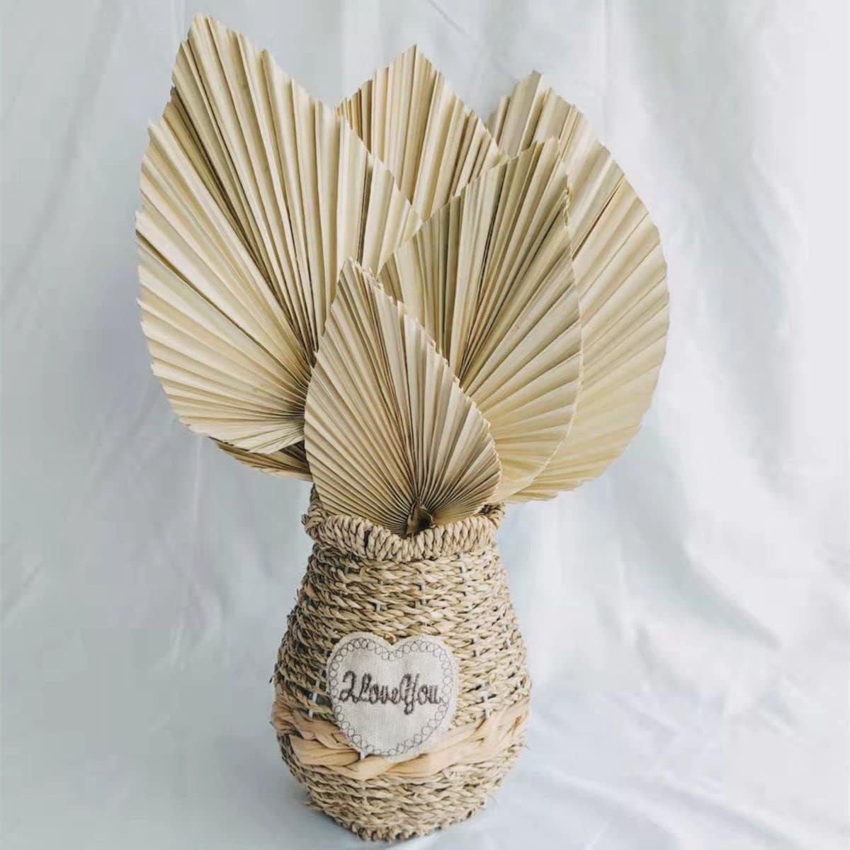Palm Spears 4PCS Dried Natural Plant Decor
