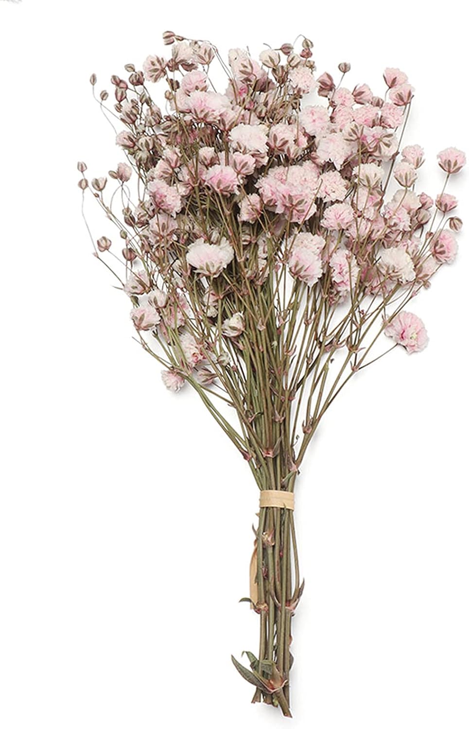 JONJUMP Dried Flowers Mini Bouquets Artificial Flower Decoration