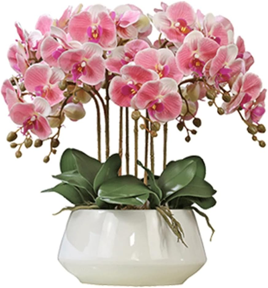 Realistic Artificial Orchid in Ceramic Pot with Gold Trim