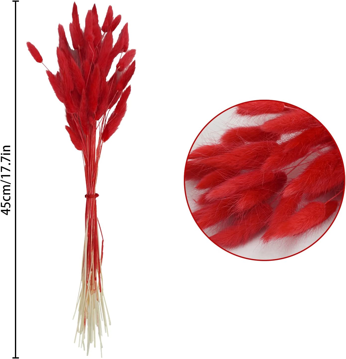 Uieke 17 Inch Natural Red Bunny Tails Dried Flowers 240 Pcs