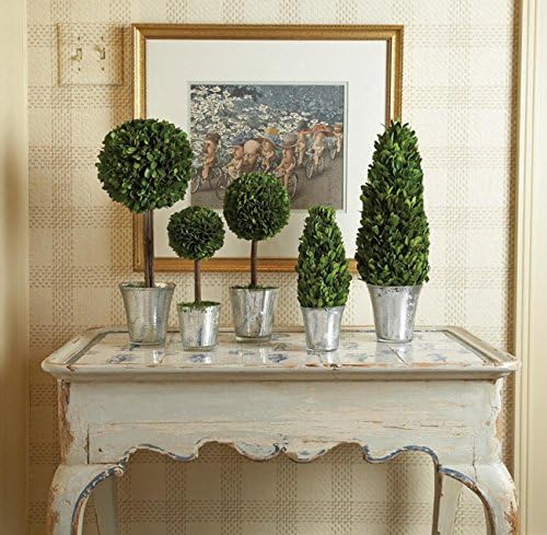 PG Topiaries ST 5 Silver Mercury Glass Finish