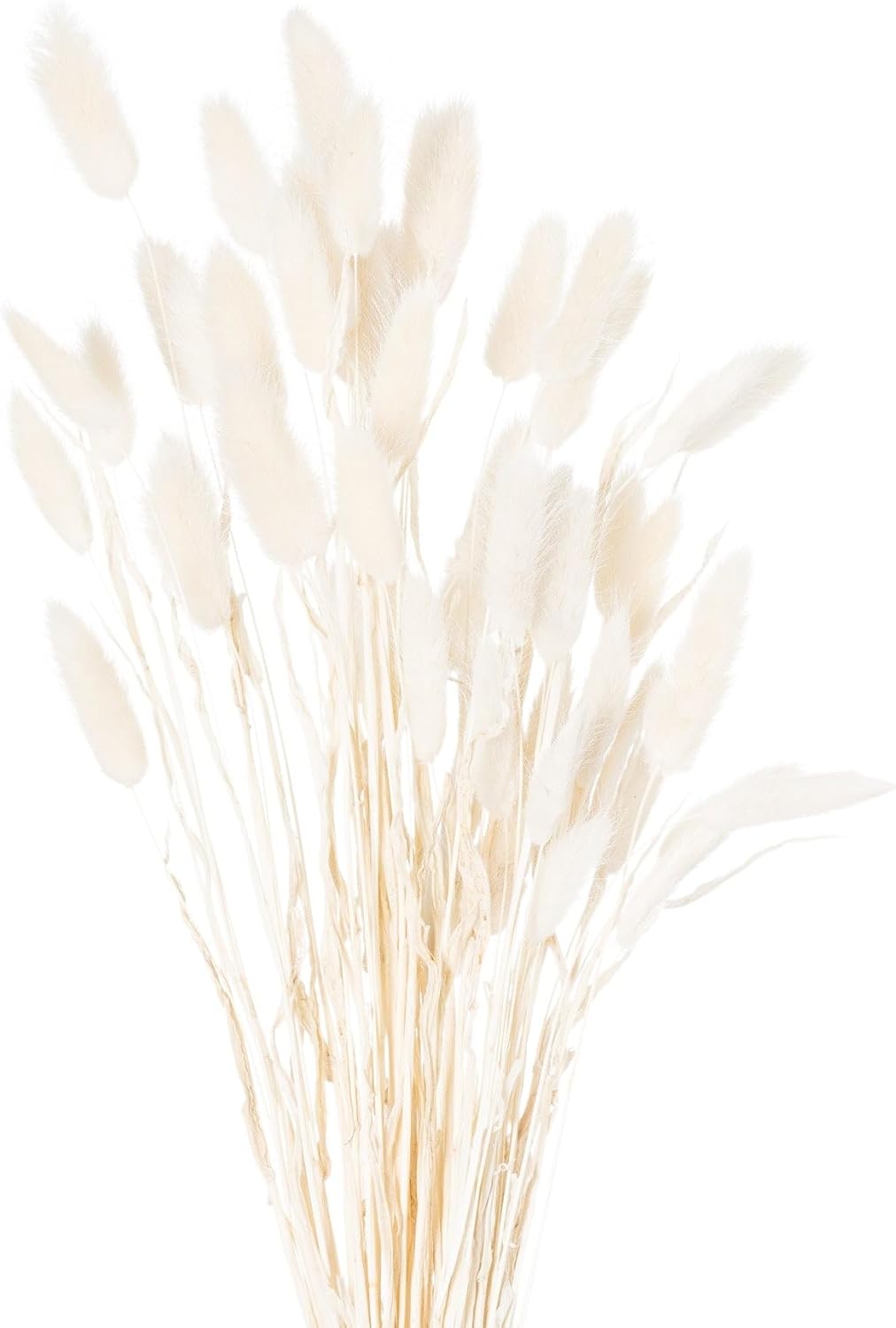 Bunny Tail Artificial Flower Set of 60 White