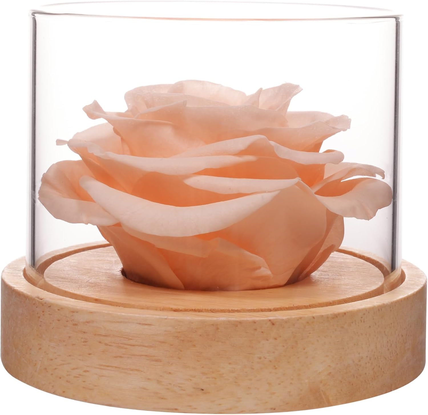 MODCON Home Scent Rose Real Fragrance Lasts 4 Months Gift for Her