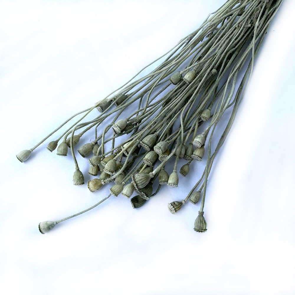 40PCS Dried Flowers 1378-1575 Inch Artificial Floral Arrangements