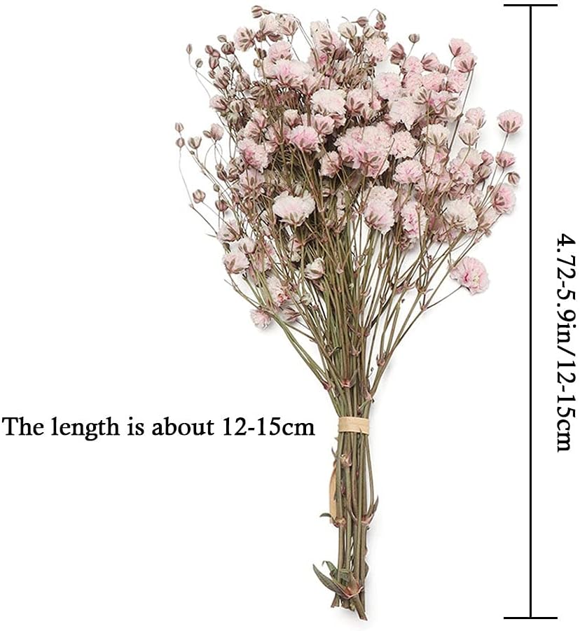JONJUMP Dried Flowers Mini Bouquets Artificial Flower Decoration
