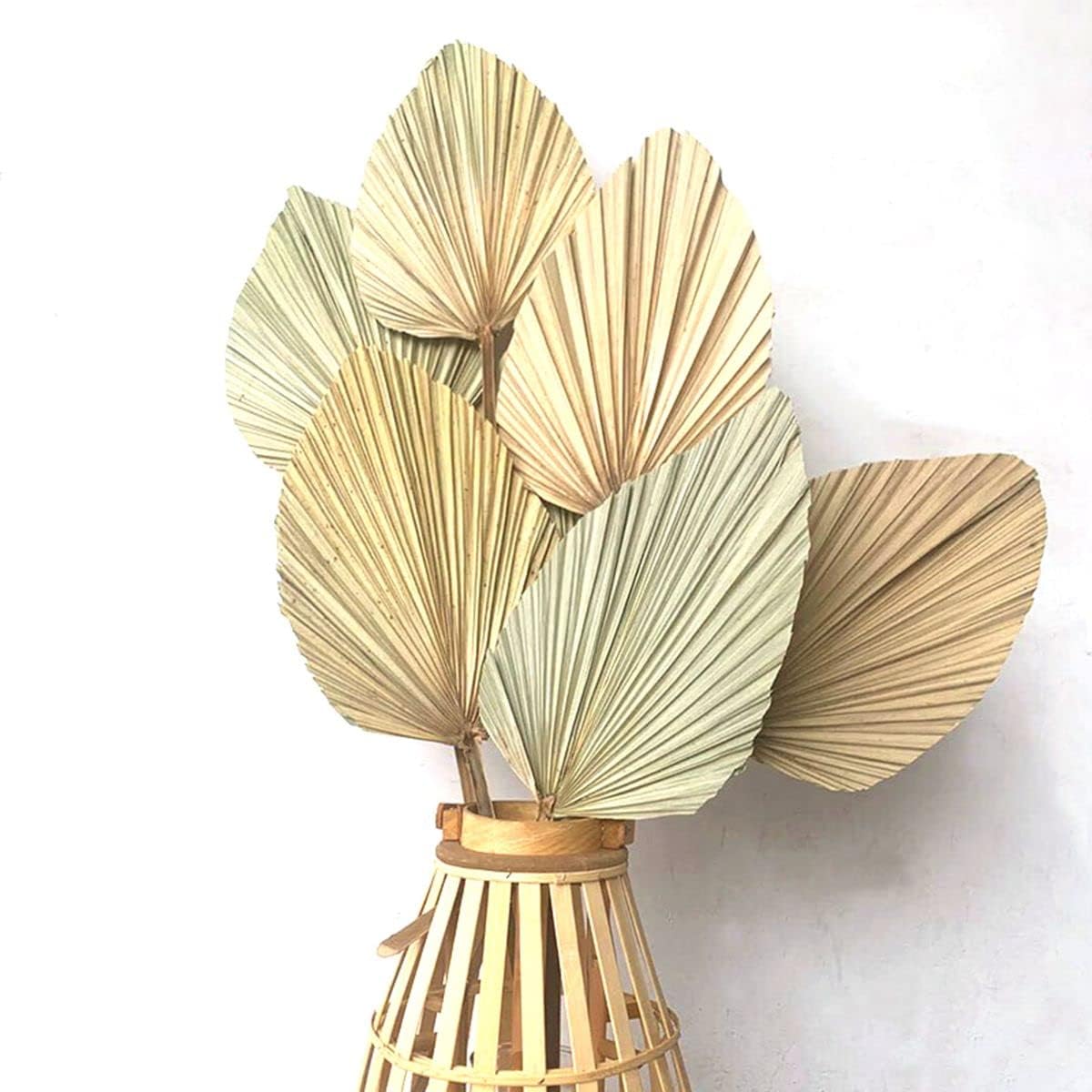 Palm Spears 4PCS Dried Natural Plant Decor