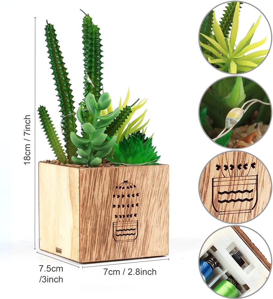 BEGONDIS 3 Piece Artificial Succulent Set with LED Lights