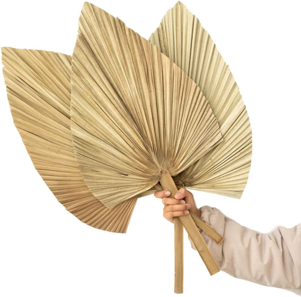 Palm Spears 4PCS Dried Natural Plant Decor