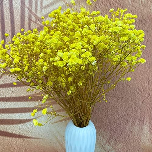 Preserved Babys Breath Flowers 3 Bunches Yellow for Decor
