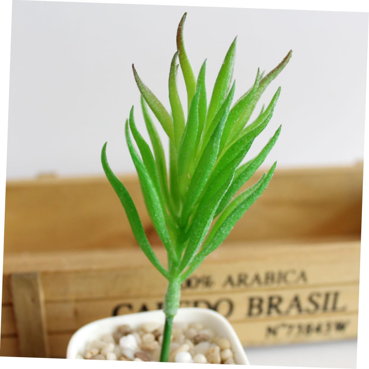 5pcs Desk Fake Succulent Office Decor